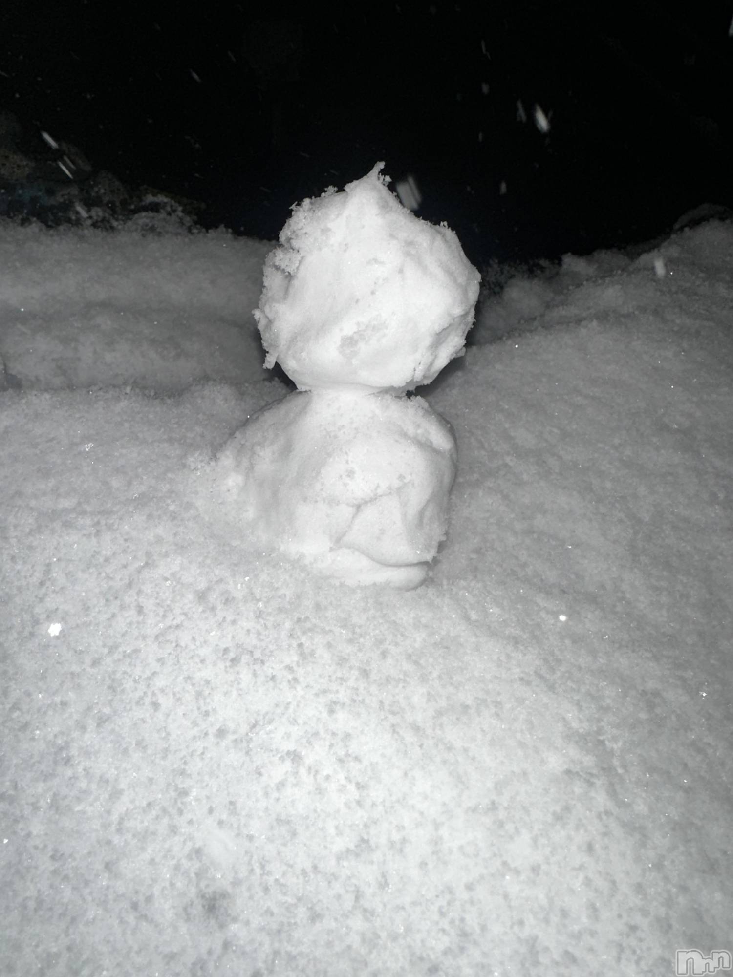 ���ܱ�������Х��顦���������(�����) ��2026ǯ1��29���̥�֥�����☃️��