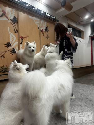 ܱХ顦() (23)1017̥֥🐕 ͗ ͗