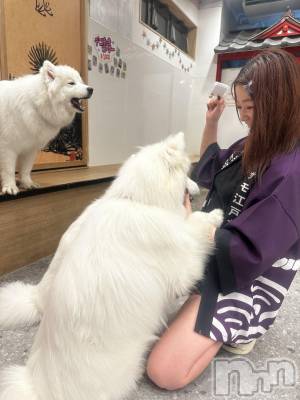 ܱХ顦() (23)1119̥֥🐕 ͗ ͗