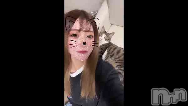 &#x1F431;
