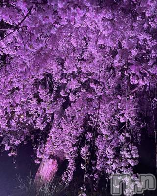 ܱХ顦K-LOUNGE(饦) Ҥᤫ510̥֥510 1437ʬμ̥֥