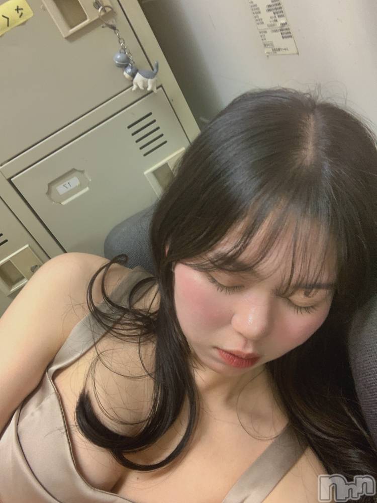 ���ĥ���Х��顦�����Premium��Ragdoll(�ץ�ߥ��� �饰�ɡ���) �ޤ��2��26���̥�֥����֥�������ɱ��