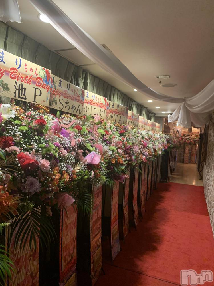 ���ĥ���Х��顦�����Premium��Ragdoll(�ץ�ߥ��� �饰�ɡ���) �ޤ��3��24���̥�֥��������꤭��ʤ���