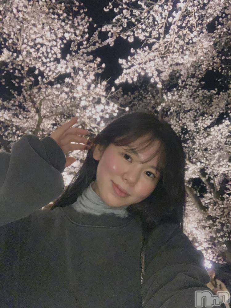 ���ĥ���Х��顦�����Premium��Ragdoll(�ץ�ߥ��� �饰�ɡ���) �ޤ��4��13���̥�֥����ֲ�ä��͡�