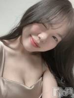 ���ĥ���Х��顦����� Premium��Ragdoll(�ץ�ߥ��� �饰�ɡ���) �ޤ��2��9���̥�֥����֤��Ƥޤ����