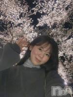 ���ĥ���Х��顦�����Premium��Ragdoll(�ץ�ߥ��� �饰�ɡ���) �ޤ��4��13���̥�֥����ֲ�ä��͡�