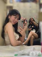 ���ĥ���Х��顦�����Premium��Ragdoll(�ץ�ߥ��� �饰�ɡ���) �ޤ��6��5���̥�֥�����΢¦��