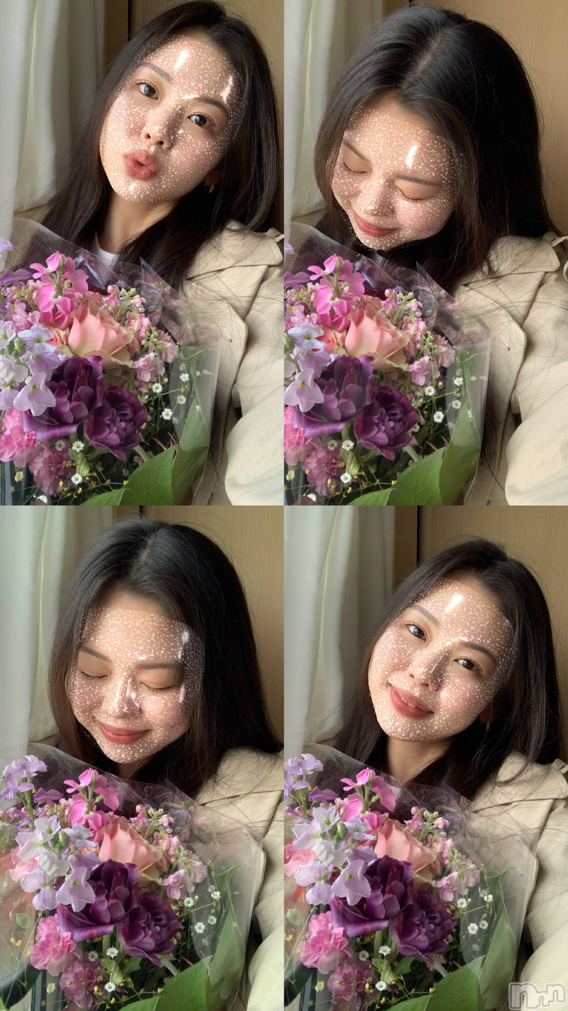 ĥХ顦PremiumRagdoll(ץߥ 饰ɡ) 2025ǯ330̥֥💐💐💐