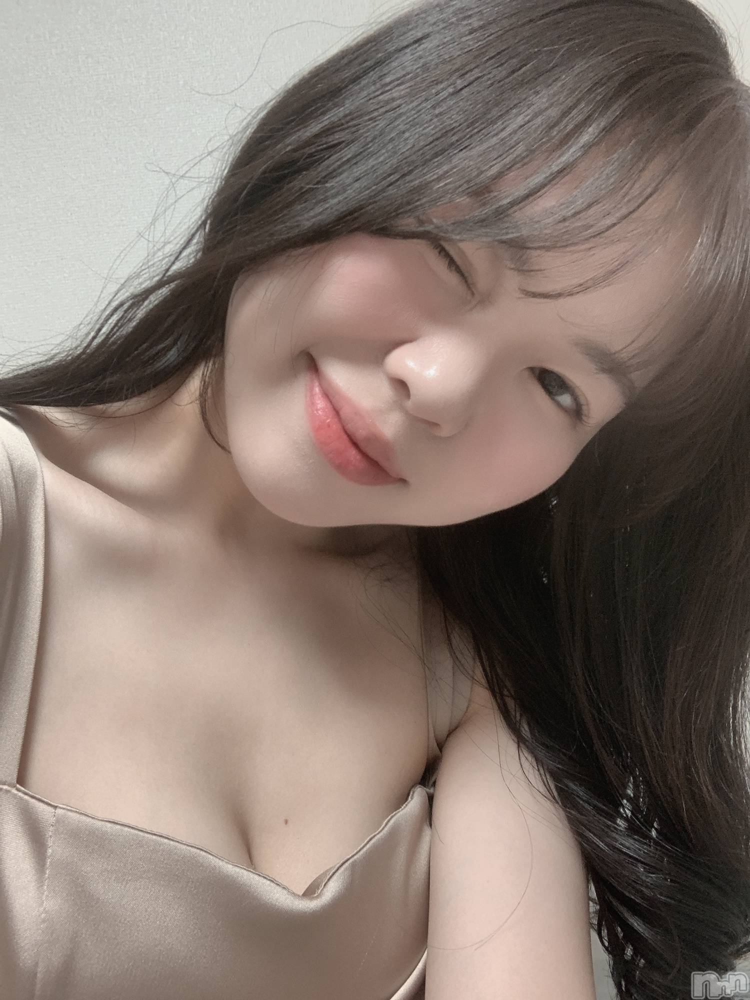 ���ĥ���Х��顦�����Premium��Ragdoll(�ץ�ߥ��� �饰�ɡ���) ��2026ǯ2��9���̥�֥����֤��Ƥޤ����