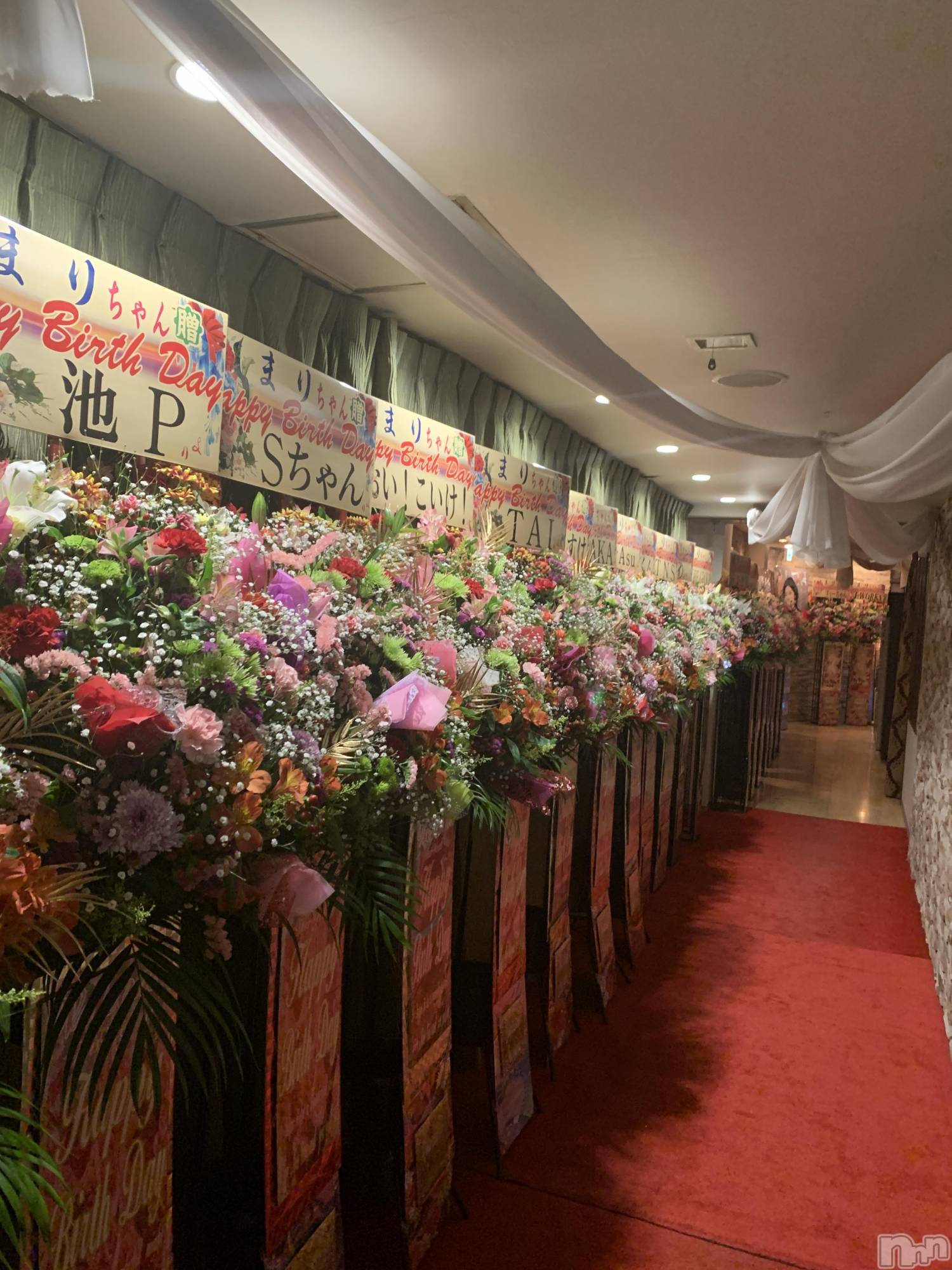 ���ĥ���Х��顦�����Premium��Ragdoll(�ץ�ߥ��� �饰�ɡ���) ��2026ǯ3��24���̥�֥��������꤭��ʤ���