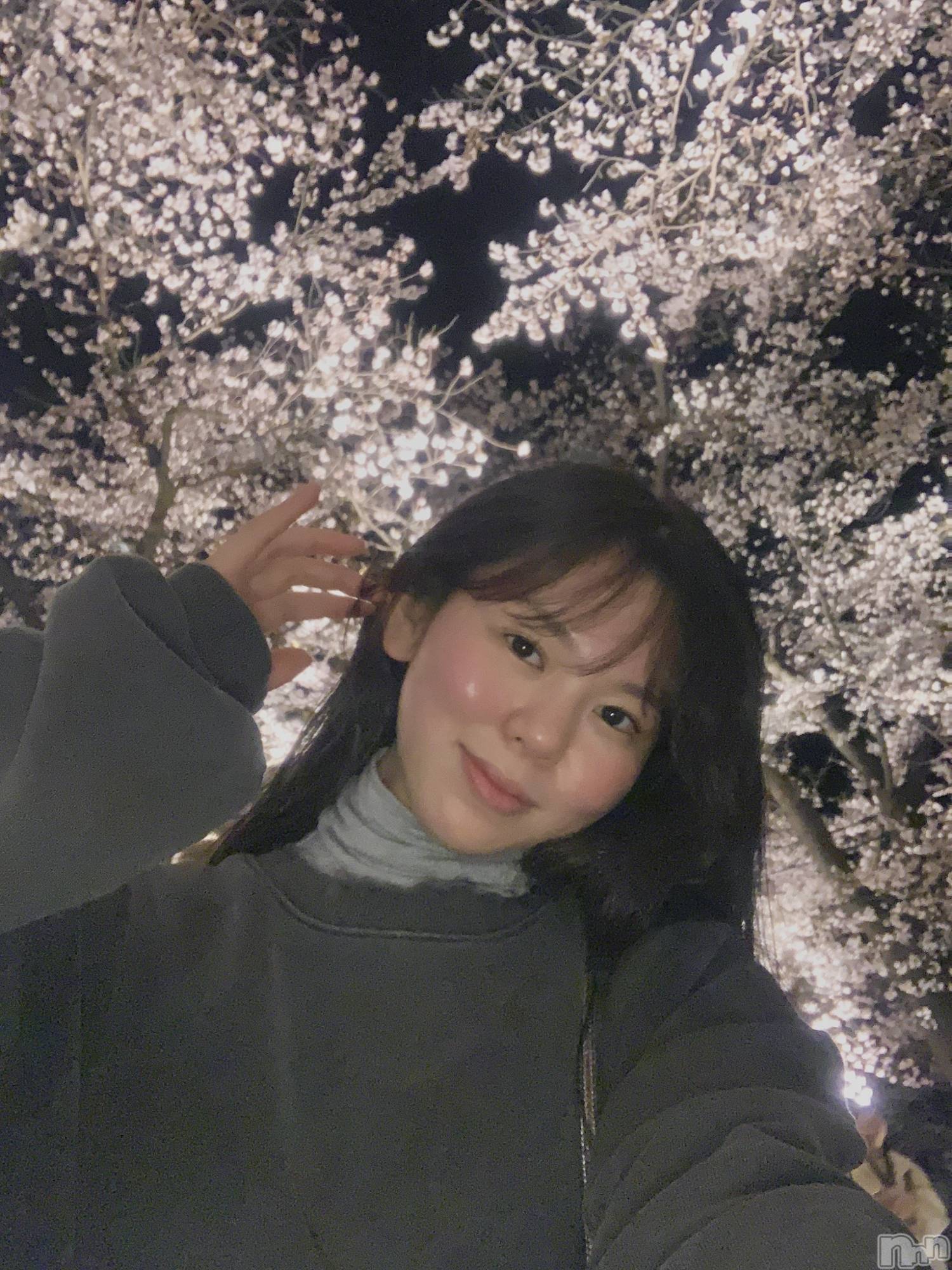 ���ĥ���Х��顦�����Premium��Ragdoll(�ץ�ߥ��� �饰�ɡ���) ��2026ǯ4��13���̥�֥����ֲ�ä��͡�