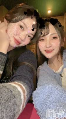 ĥХ顦PremiumRagdoll(ץߥ 饰ɡ) ޤ1211̥֥