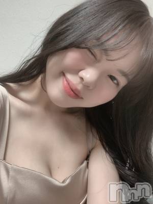 ���ĥ���Х��顦�����Premium��Ragdoll(�ץ�ߥ��� �饰�ɡ���) �ޤ��2��9���̥�֥����֤��Ƥޤ����