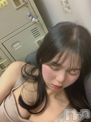 ���ĥ���Х��顦�����Premium��Ragdoll(�ץ�ߥ��� �饰�ɡ���) �ޤ��2��26���̥�֥����֥�������ɱ��