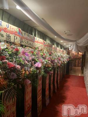 ���ĥ���Х��顦�����Premium��Ragdoll(�ץ�ߥ��� �饰�ɡ���) �ޤ��3��24���̥�֥��������꤭��ʤ���