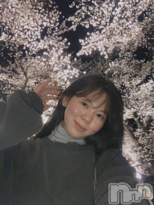 ���ĥ���Х��顦�����Premium��Ragdoll(�ץ�ߥ��� �饰�ɡ���) �ޤ��4��13���̥�֥����ֲ�ä��͡�