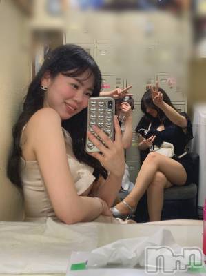 ���ĥ���Х��顦�����Premium��Ragdoll(�ץ�ߥ��� �饰�ɡ���) �ޤ��6��5���̥�֥�����΢¦��