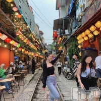 Premium��Ragdoll