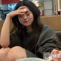 Premium��Ragdoll