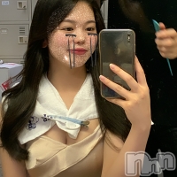 Premium��Ragdoll