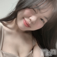 ���ĥ���Х��顦����� Premium��Ragdoll(�ץ�ߥ��� �饰�ɡ���) �ޤ��2��9���̥�֥����֤��Ƥޤ����