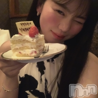 Premium��Ragdoll