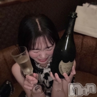 Premium��Ragdoll