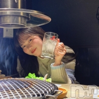 Premium��Ragdoll