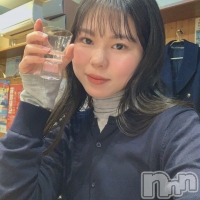 Premium��Ragdoll