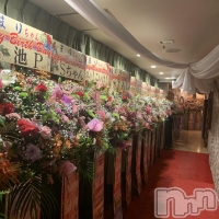 Premium��Ragdoll