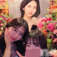 Premium��Ragdoll