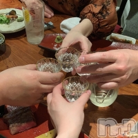 Premium��Ragdoll