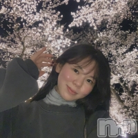 Premium��Ragdoll