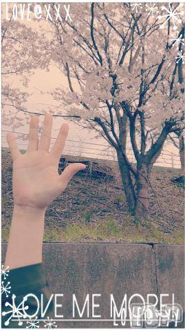 上越デリヘル密会ゲート(ミッカイゲート) のん(51)の4月6日写メブログ「桜綺麗だね」