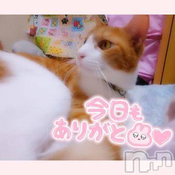 新潟人妻デリヘル熟女の風俗 最終章(ジュクジョノフウゾクサイシュウショウ)みゆ(40)の2022年10月27日写メブログ「おはにゃん。😼🍀」