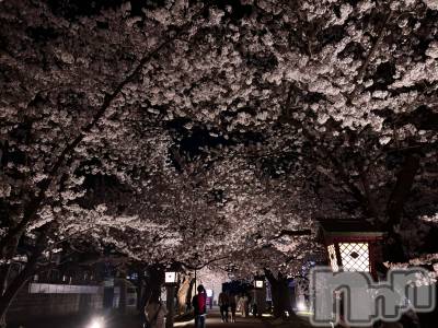 ȯѥ˥󥯥ֿ㥳ѥ˥󥯥 HAPPY(˥ѥ˥󥯥 ϥåԡ) 䤫ޤˤ(33)413̥֥Ǥ🌸