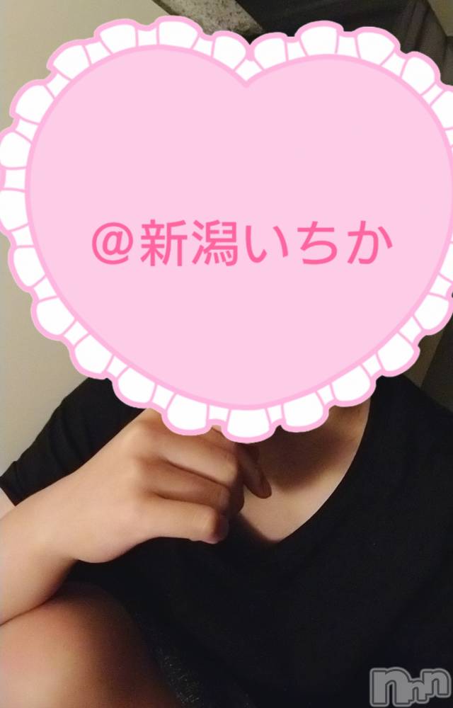 㡦ȯĥꥢ󥺥Ƥޤơ(ޥƥåȥ˥) ֡1011̥֥֤Ϥ褦🌼