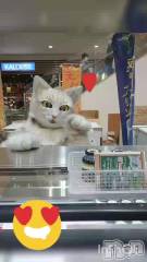 新潟メンズエステあろまえすて＠新潟(アロマエステアットニイガタ) 一花＊いちか(29)の1月26日動画「ミクちゃ～ん💕」