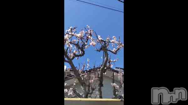 ֥ݥݥ&#x1F338;