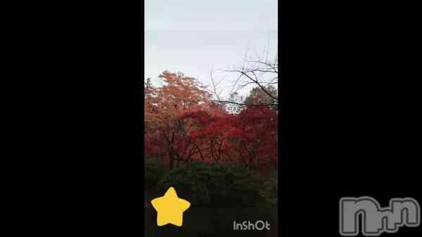 ֥ɥ饤֥ǡ&#x2764;