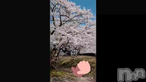 ָ֤&#x1F338;