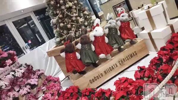 新潟メンズエステあろまえすて＠新潟(アロマエステアットニイガタ) 一花＊いちか(29)の12月24日動画「」