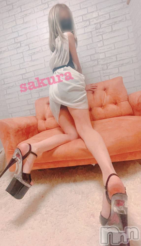 三条デリヘルコスプレ専門店　BLUE MOON(ブルームーン) 美人お姉さん#さくら(27)の12月6日写メブログ「明日🧸🌸」