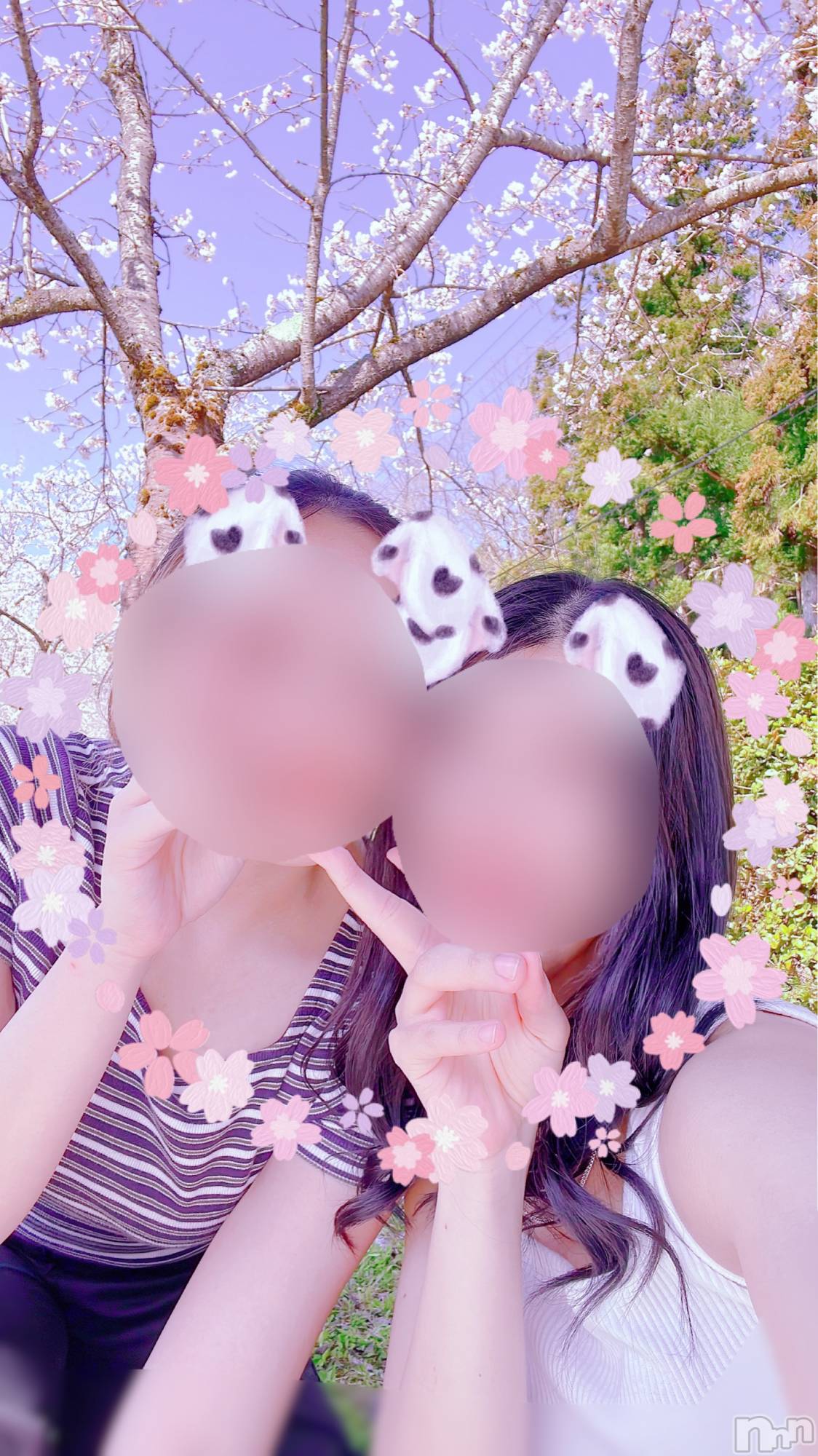 三条デリヘルコスプレ専門店　BLUE MOON(ブルームーン)美人お姉さん#さくら(27)の2023年4月5日写メブログ「12時半から🌸」