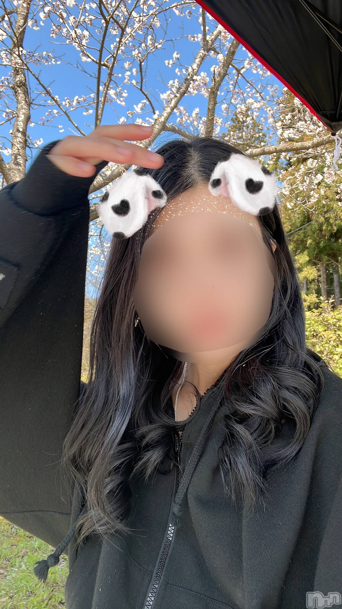 三条デリヘルコスプレ専門店　BLUE MOON(ブルームーン)美人お姉さん#さくら(27)の2024年3月13日写メブログ「🌸がいっぱい🥰🌸💖💖💖」