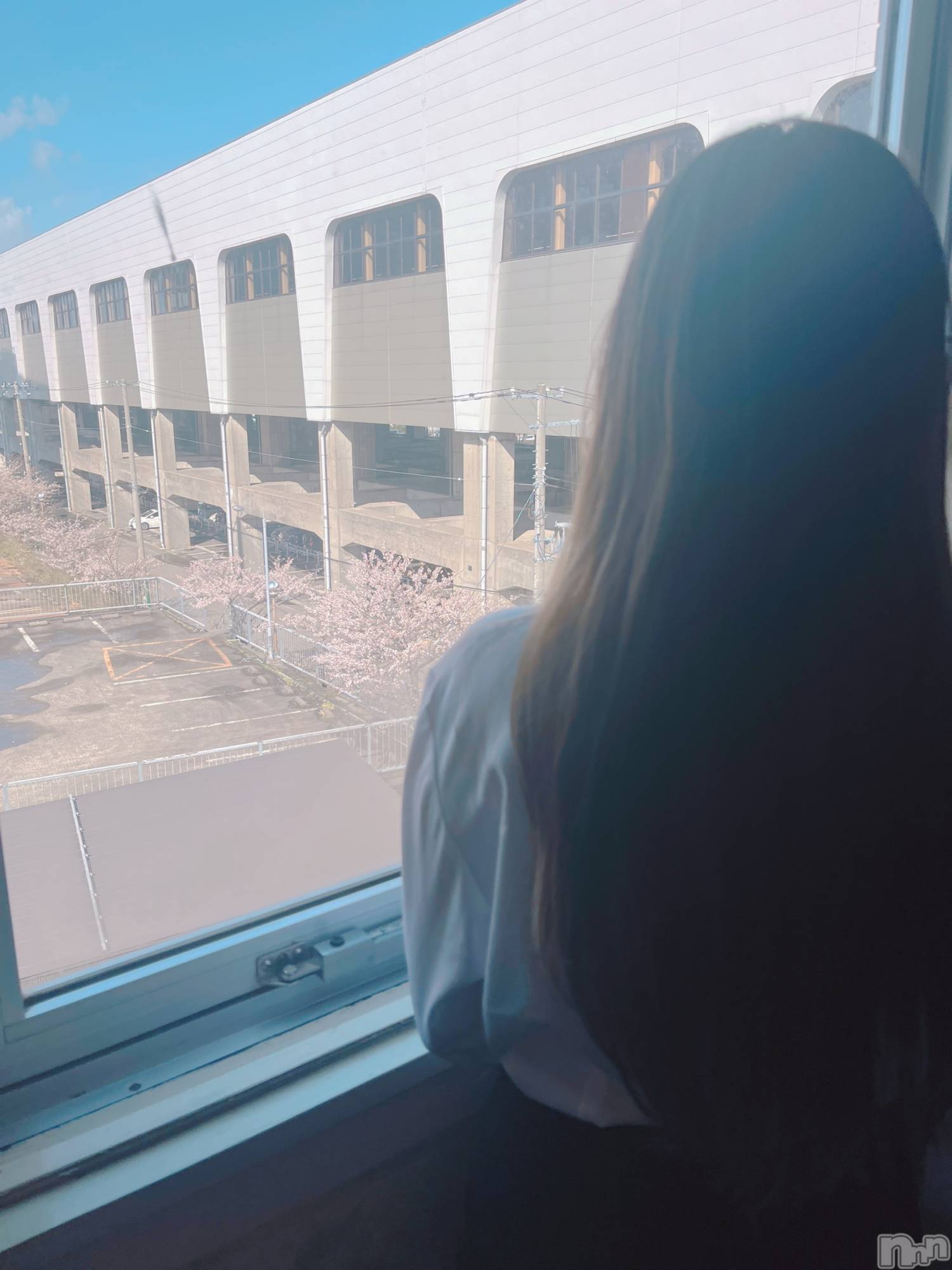 三条デリヘルコスプレ専門店　BLUE MOON(ブルームーン)美人お姉さん#さくら(27)の2025年4月16日写メブログ「16日🌸🫧💗」