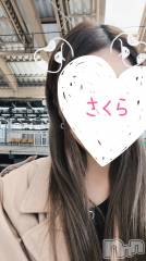 三条デリヘルコスプレ専門店　BLUE MOON(ブルームーン) 美人お姉さん#さくら(27)の10月22日写メブログ「がたんごとん🚃❤️🚗」