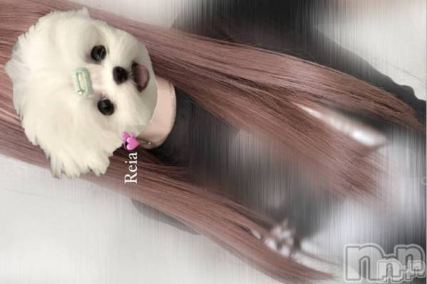 襳ѥ˥󥯥־ۥѥ˥󥯥֡ե(祦ĥѥ˥󥯥֡ե)  2024ǯ82̥֥💕롢·äƤޤ💕