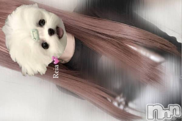 襳ѥ˥󥯥־ۥѥ˥󥯥֡ե(祦ĥѥ˥󥯥֡ե)  2024ǯ109̥֥֥Ⱥǹα񤷤ޤ礦🌟🎶