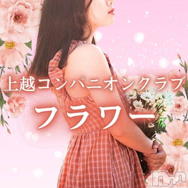 襳ѥ˥󥯥־ۥѥ˥󥯥֡ե(祦ĥѥ˥󥯥֡ե)  2025ǯ621̥֥֡紿ޡ۾ɤνޤͧͤνޤ